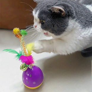 New cat toy self-hi cat toy ball fun tumbler cat scratch ball colored feather cat teaser wholesale