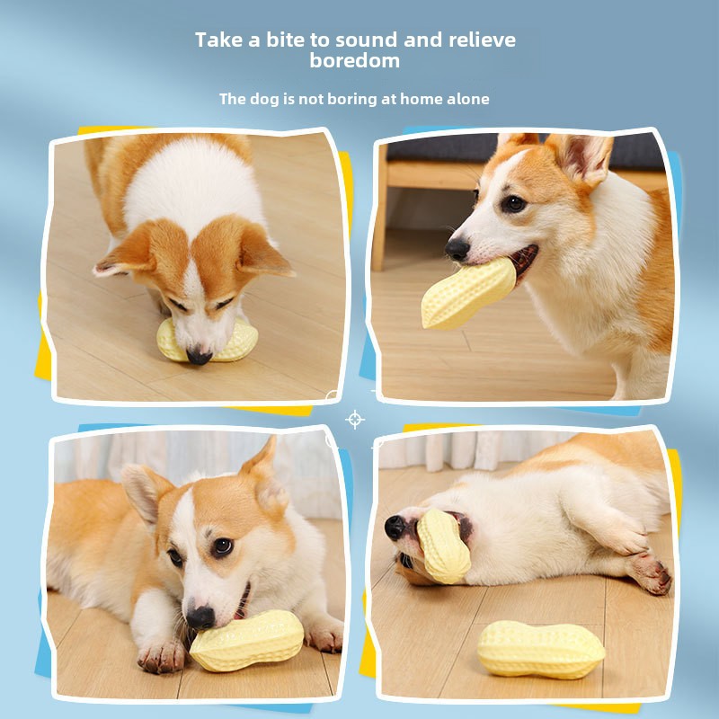 Dog toy resistant to grinding teeth and sounding peanut toy medium-sized large pet dog corgi fighting dog boredom relief artifact